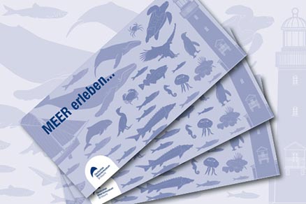 Grafik mit drei aufgefächerten Einstecktaschen mit Gutscheine mit der Aufschrift "MEER erleben", Zeichnungen von Meerestieren und dem Logo des Deutschen Meeresmuseums.
